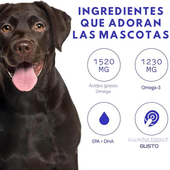 ¡Pelaje brillante, piel sana y articulaciones felices! Con Omega Max 3X